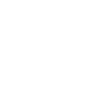 icon-mision