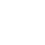 icon-valores